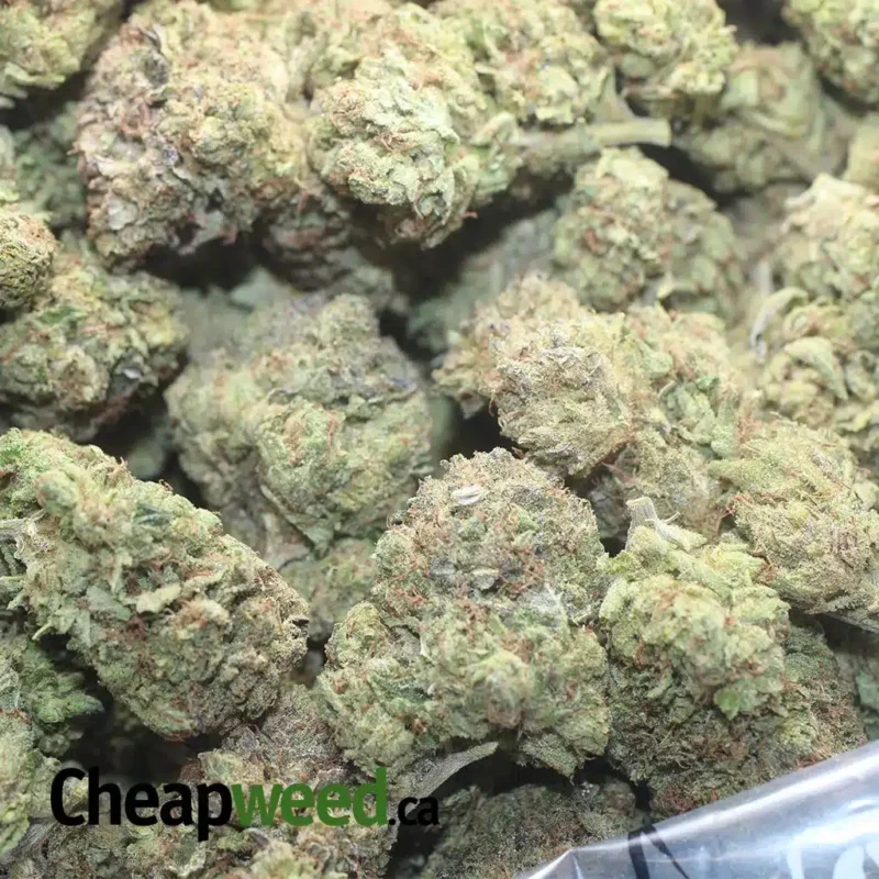 Pre 98 Bubba Kush - Image 3