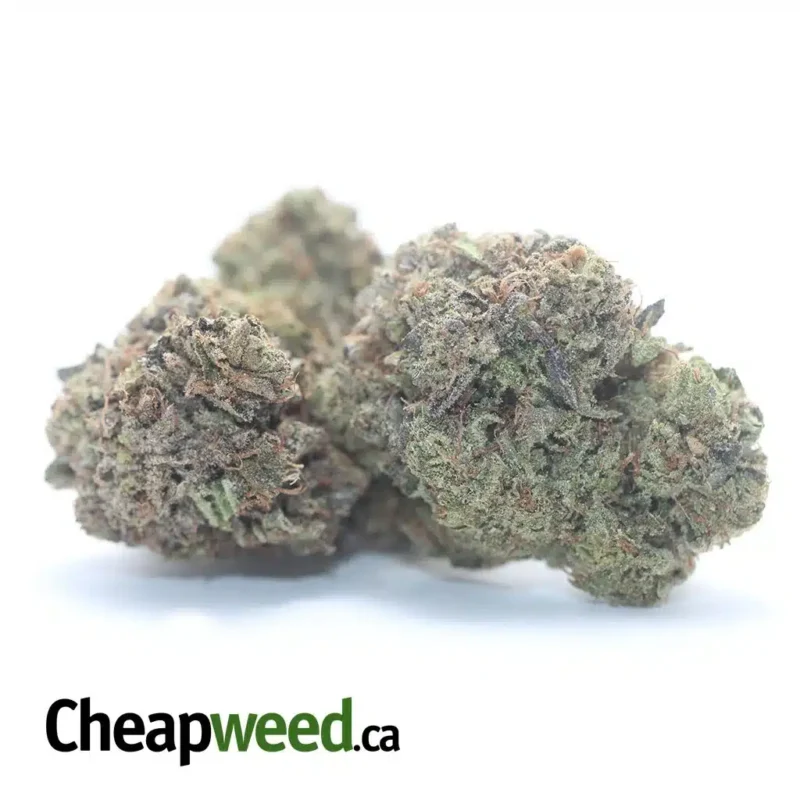Pre 98 Bubba Kush - Image 2