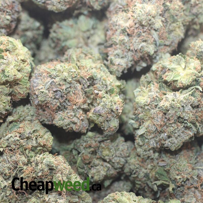 Pre Bubba Kush - Image 3