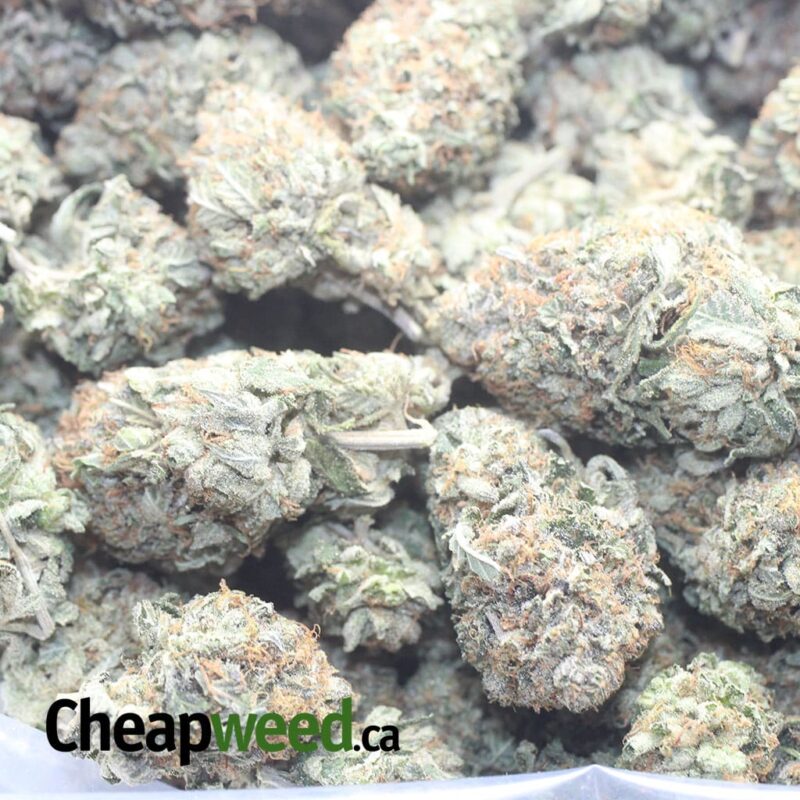 Presidential OG - Image 3