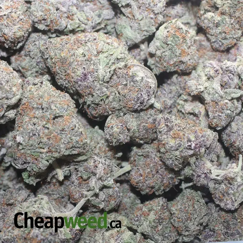 Purple Acai - Image 3