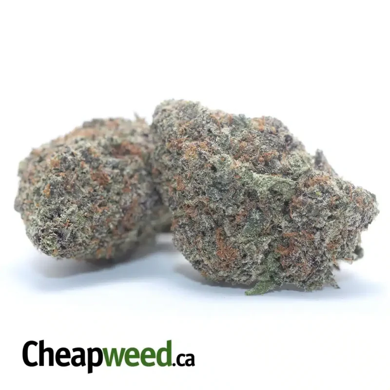 Purple Acai - Image 2