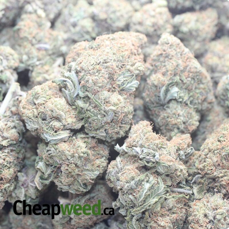 Purple Amnesia - Image 3
