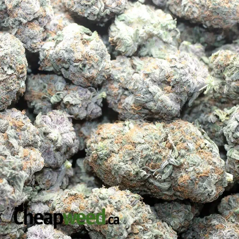 Pure Amnesia - Image 3