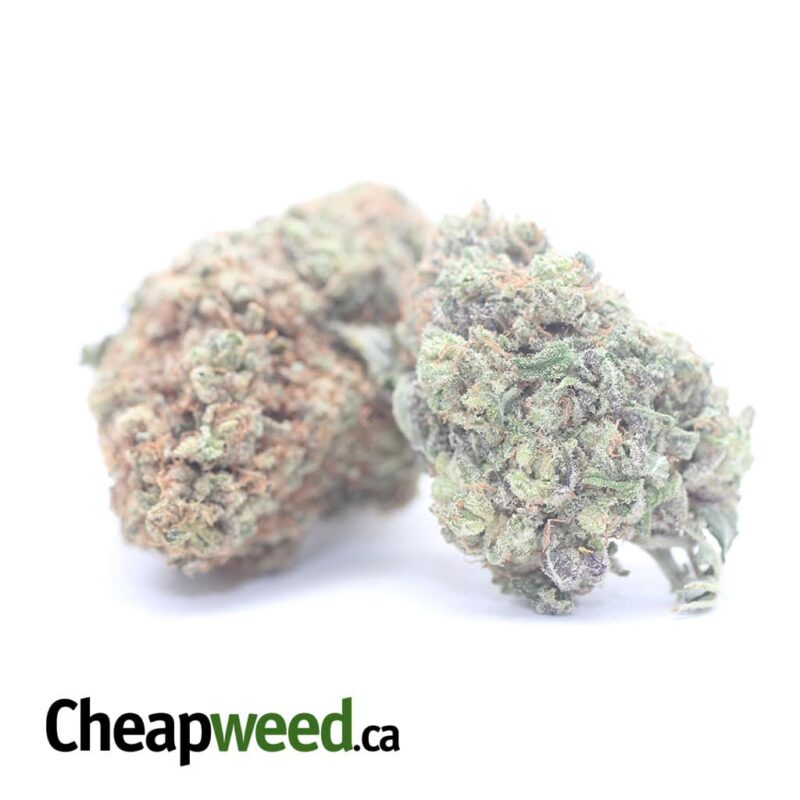 Purple Amnesia - Image 2