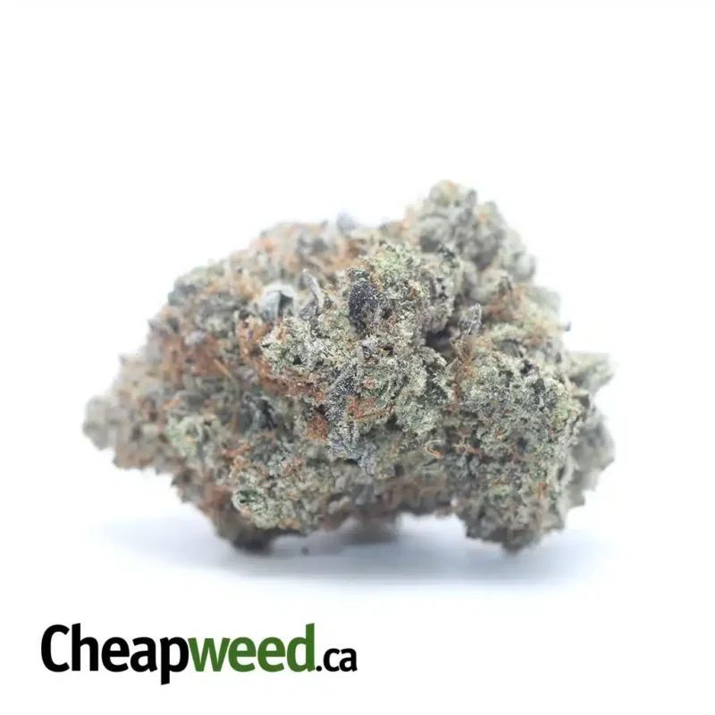 Ayahuasca Purple