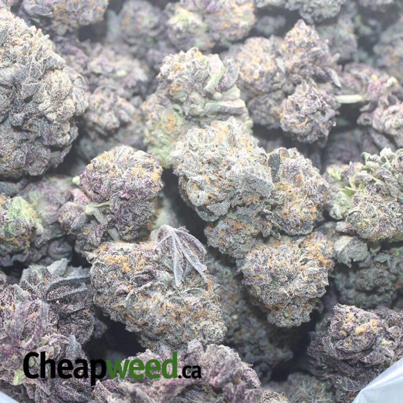Purple Cookies - Image 3
