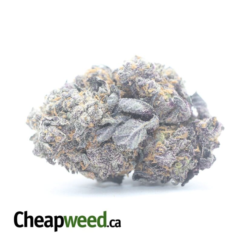 Purple Cookies