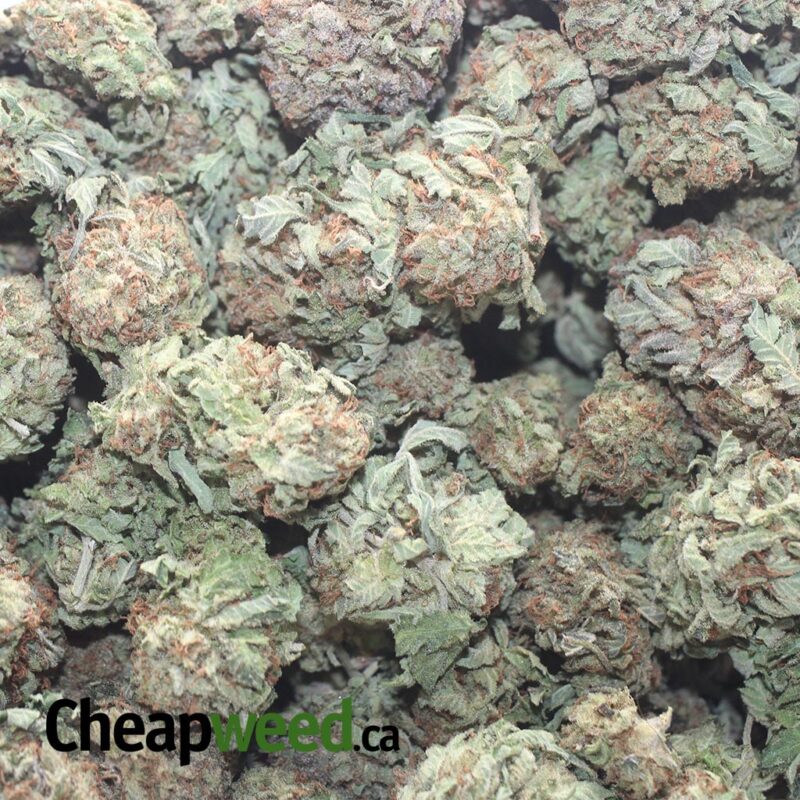 Purple Diamond - Image 3