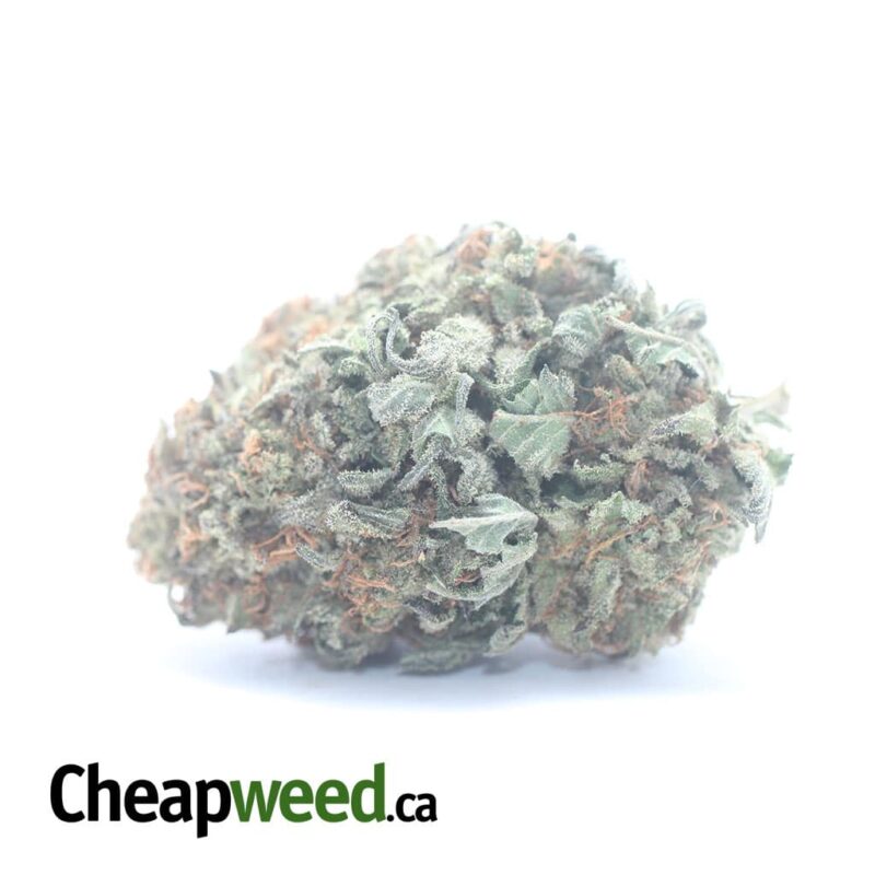 Purple Diamond