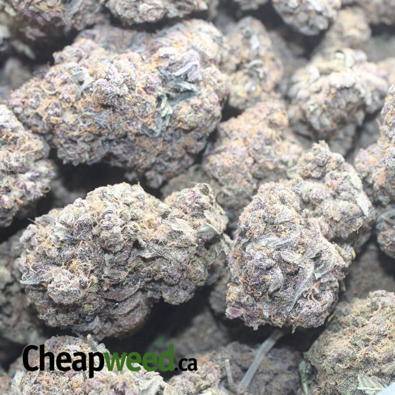 Purple Diesel - Image 3