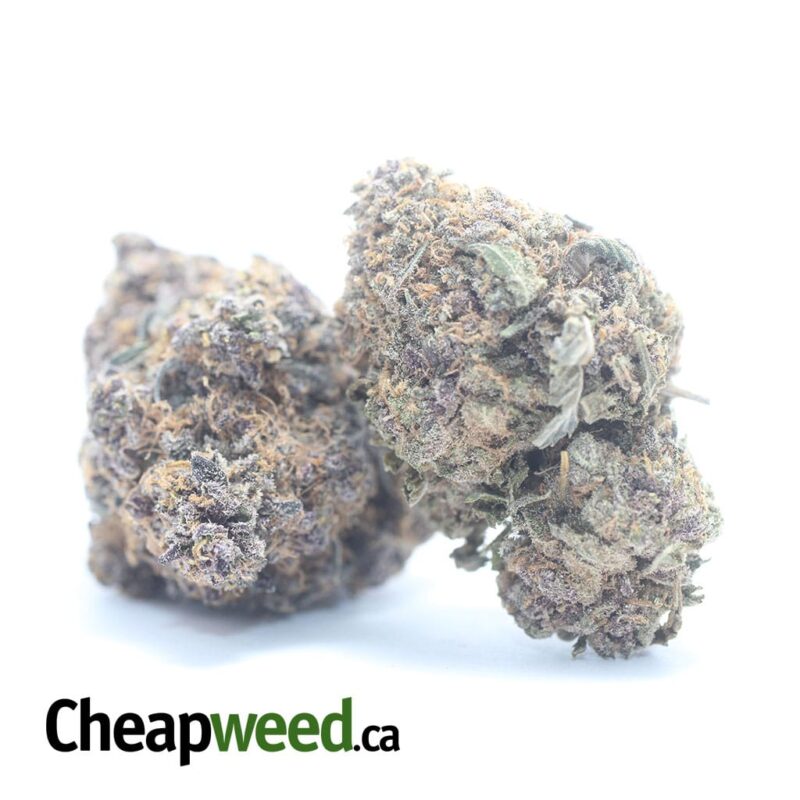 Purple Diesel - Image 2