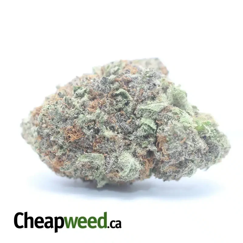 Purple God
