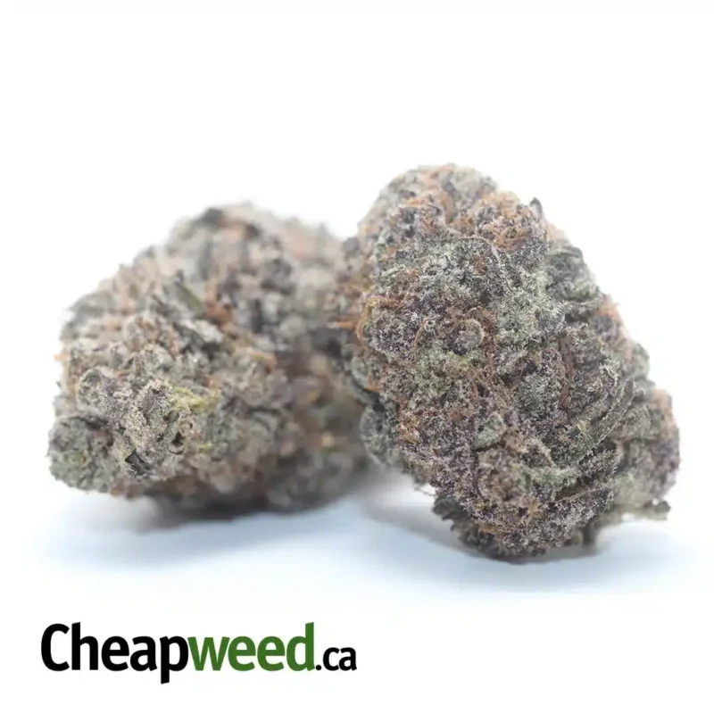Purple God AAA+ - Image 2