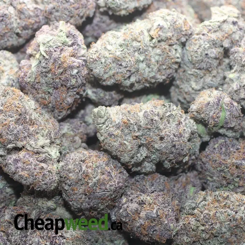 Purple God AAA+ - Image 3