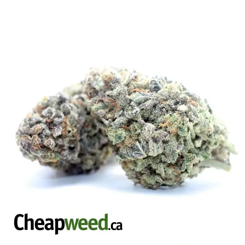 Purple Headband - Image 2