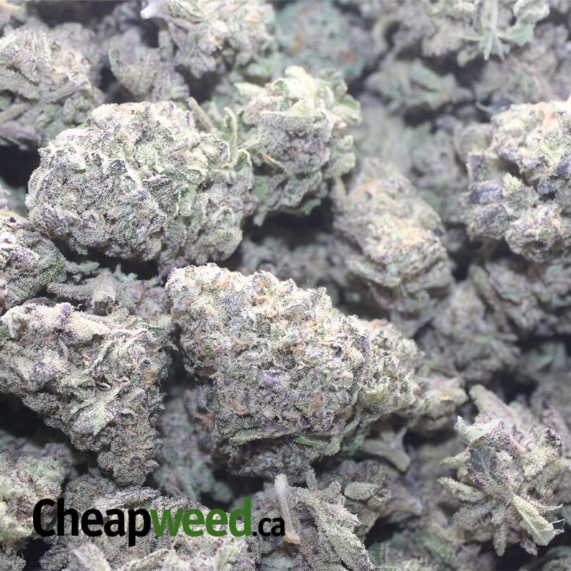 Purple Lemon Cookies - Image 3
