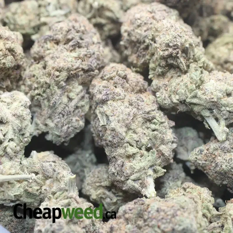 Purple Miracle Alien Cookies - Image 3