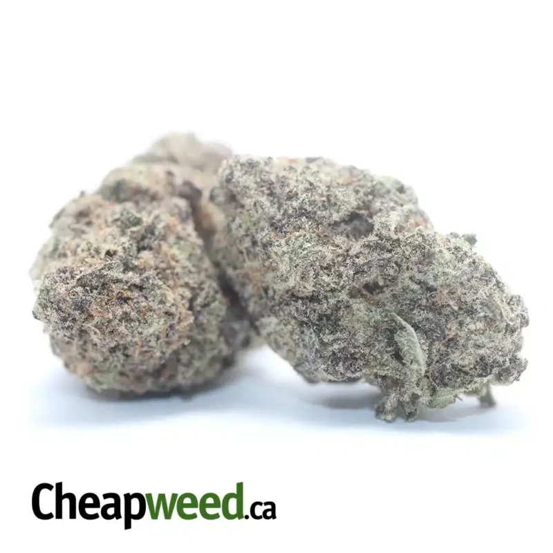 Purple Miracle Alien Cookies - Image 2