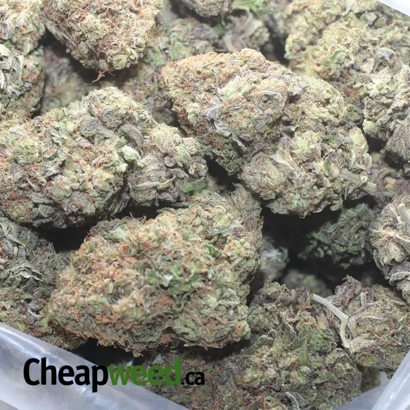 Purple Punch - Image 3