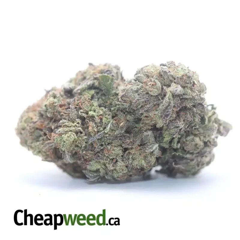 Purple Punch