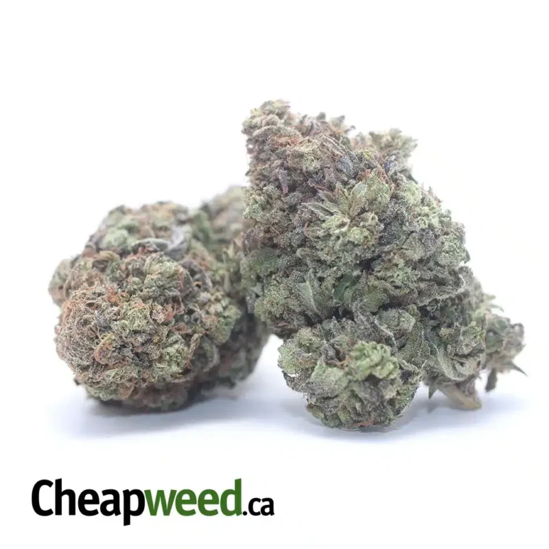 Purple Punch - Image 2