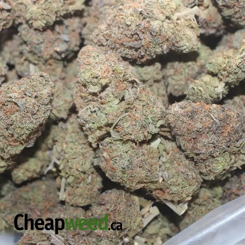 Purple Runtz - Image 3