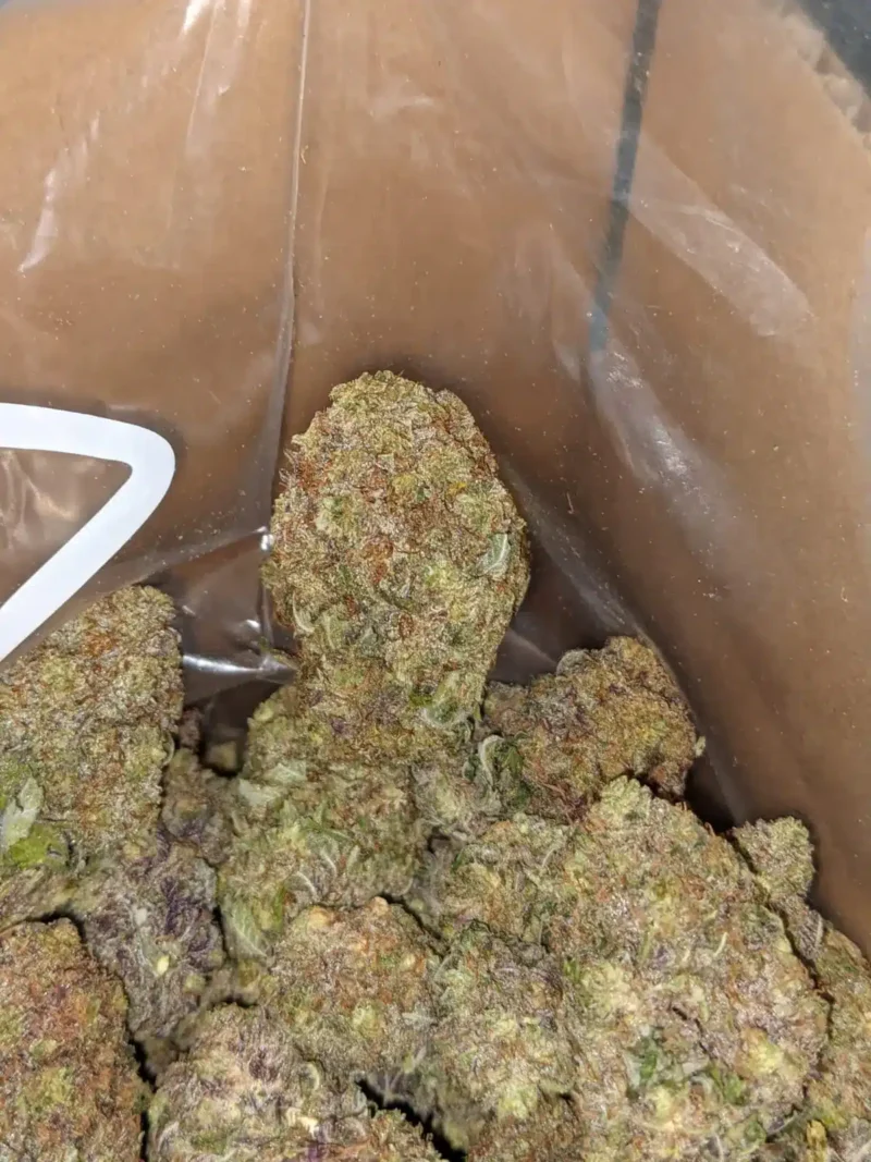 Purple Skunk - Image 5
