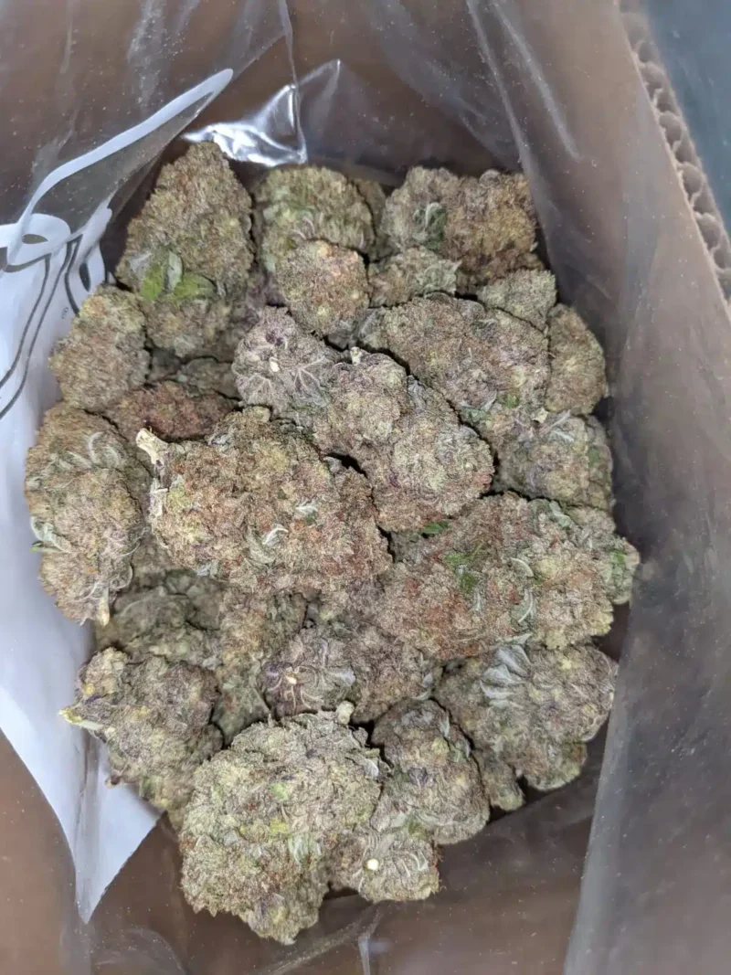 Purple Skunk