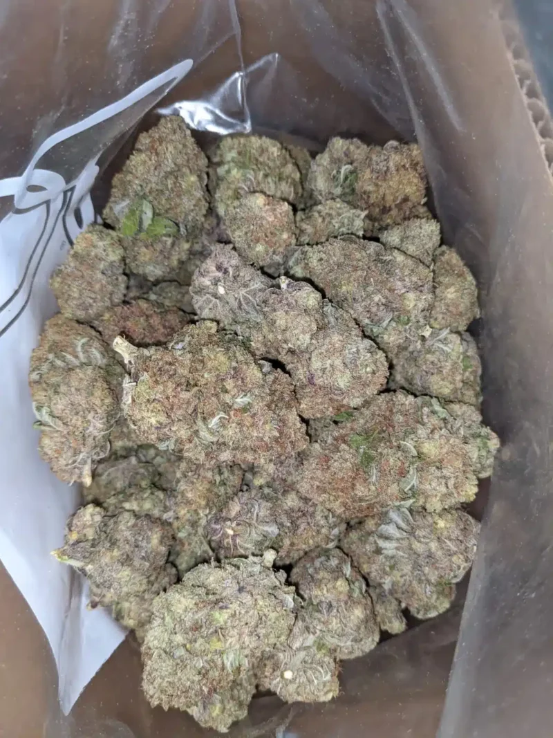 Purple Skunk - Image 4