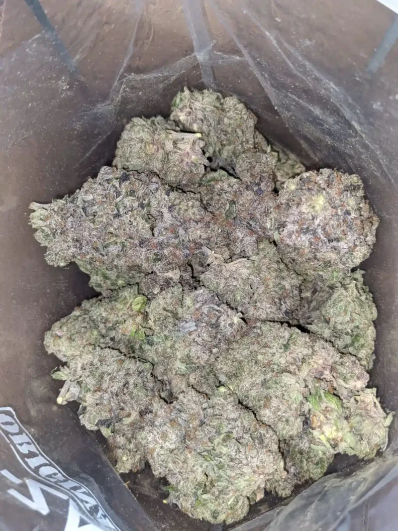 Purple Tuna - Image 2