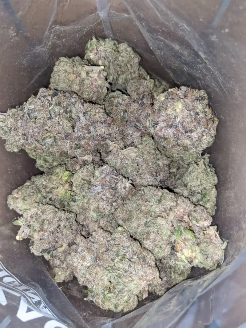 Purple Tuna