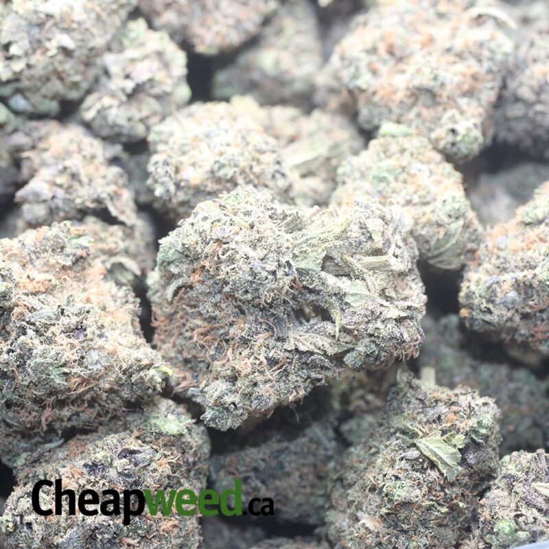 Purple Urkle - Image 3
