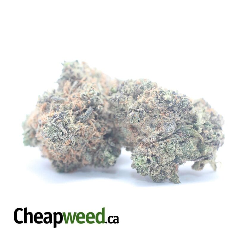 Purple Urkle - Image 2