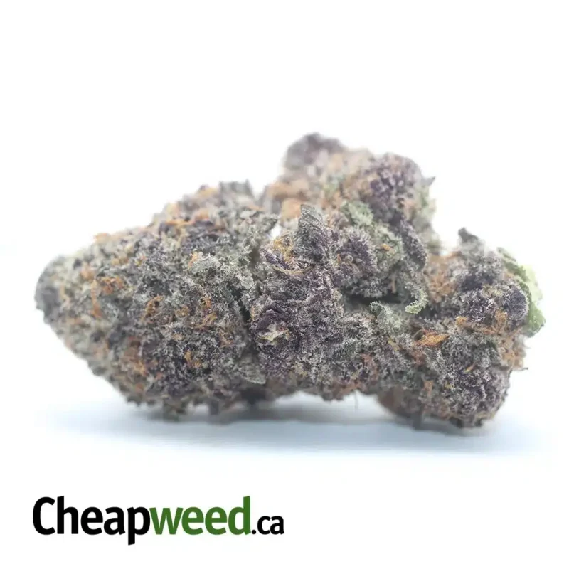 Purple Voodoo