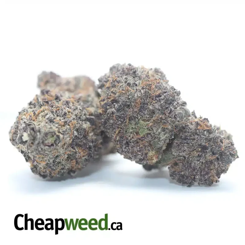 Purple Voodoo - Image 2