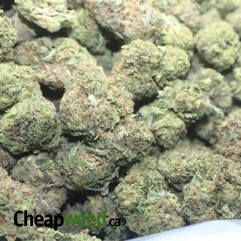 Purple Wreck - Image 3