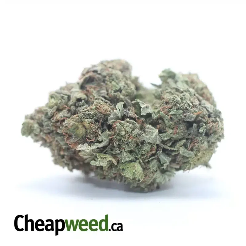 Purple Wreck