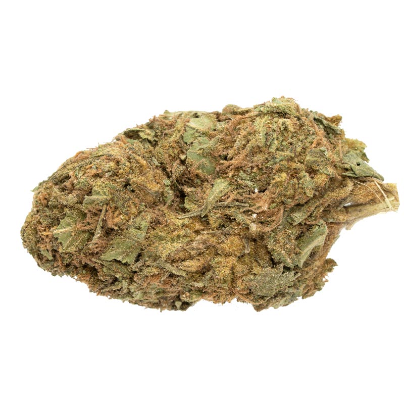 Papaya