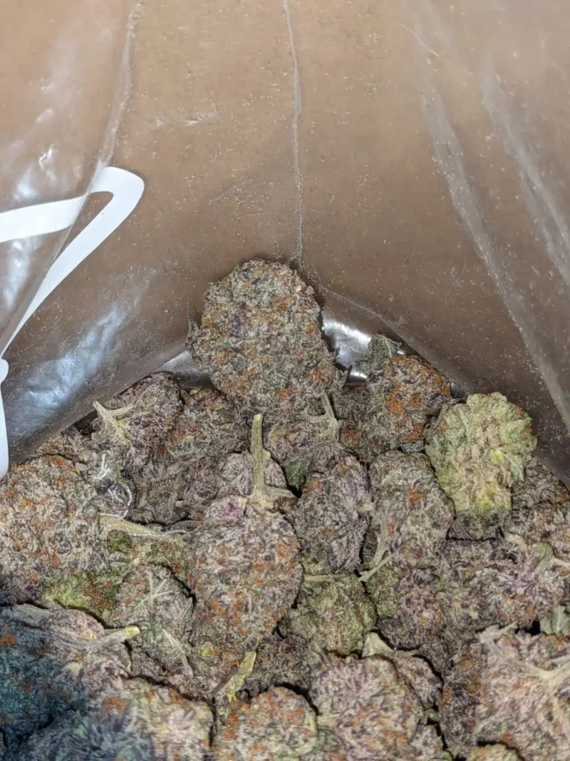 Peyote Cookies - Image 6