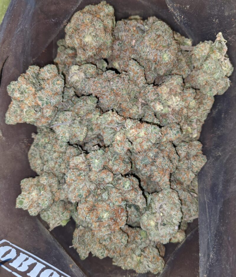 Pineapple Kush - Image 5