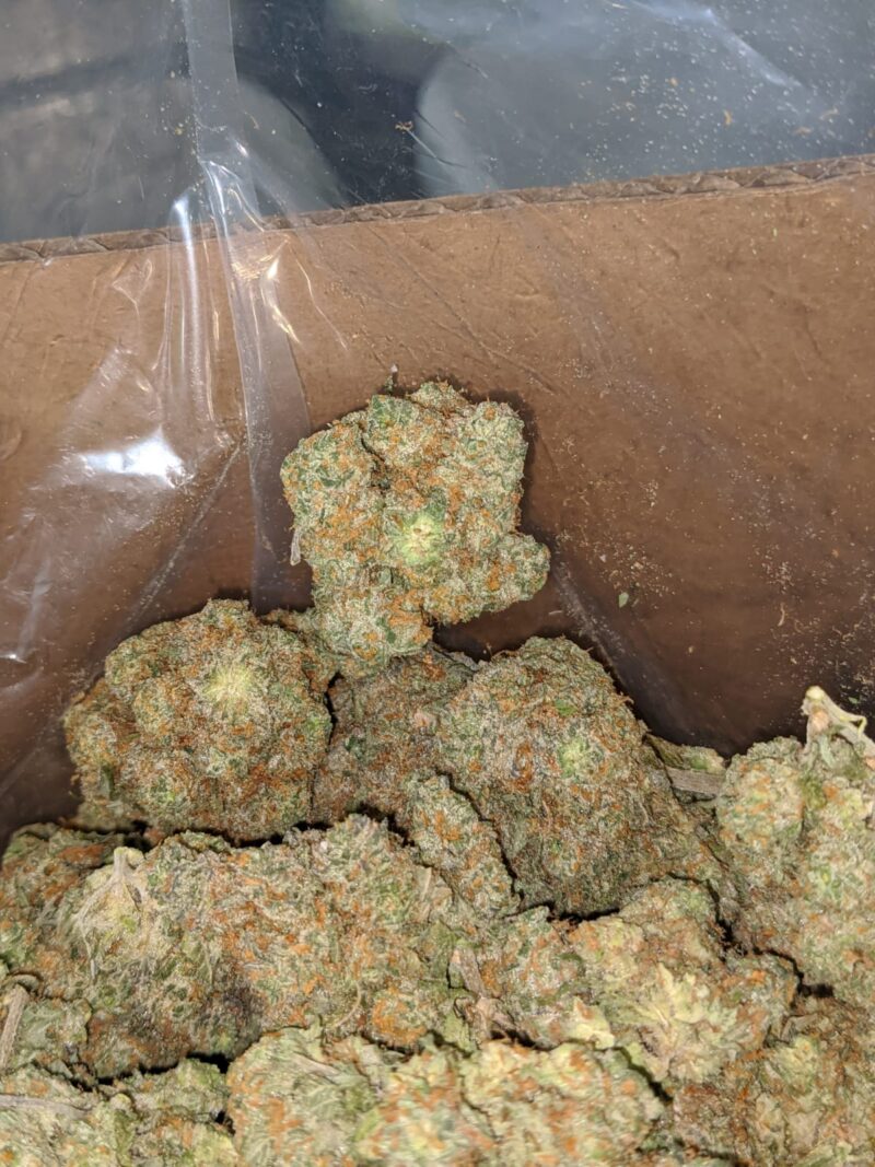 Pineapple Kush - Image 4