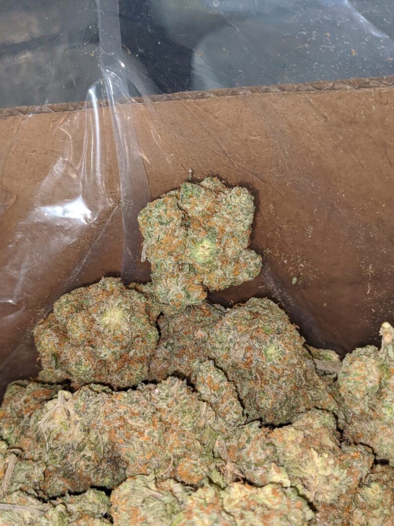 Pineapple Kush - Image 7