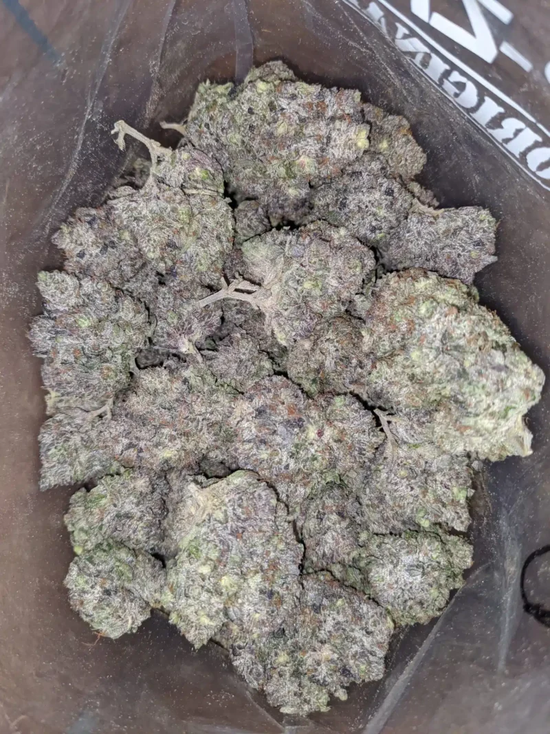 Pinetar AAAA - Image 7