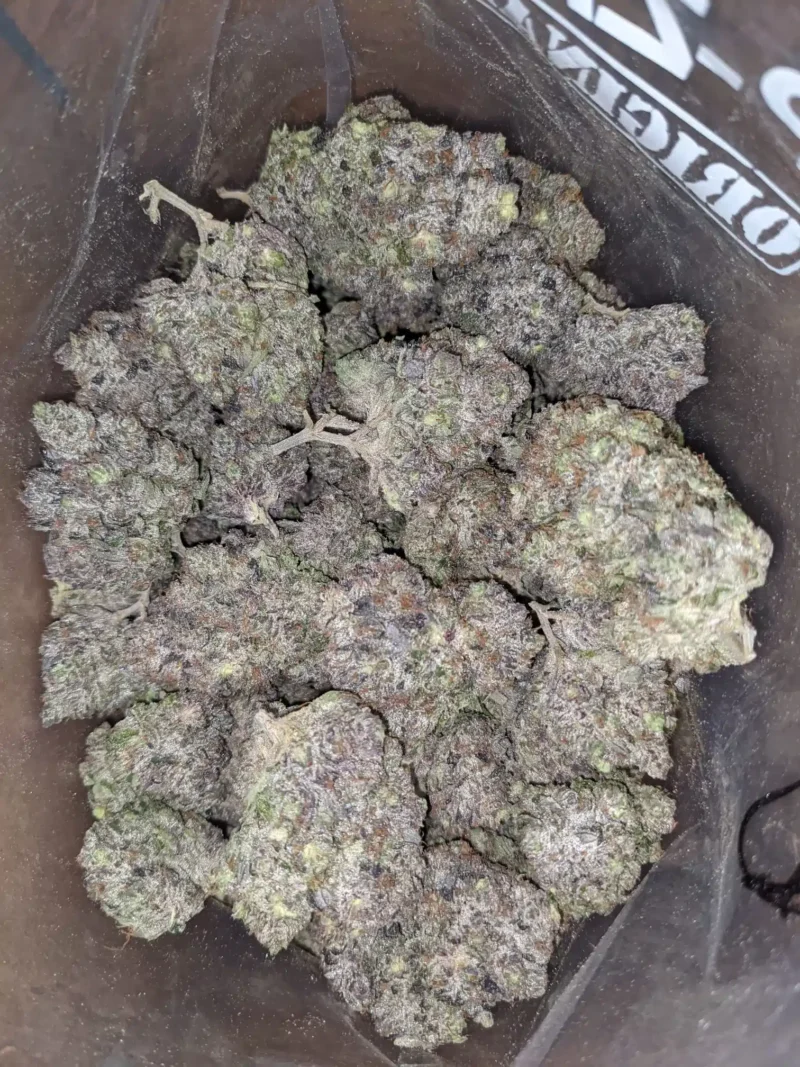 Pinetar AAAA - Image 6
