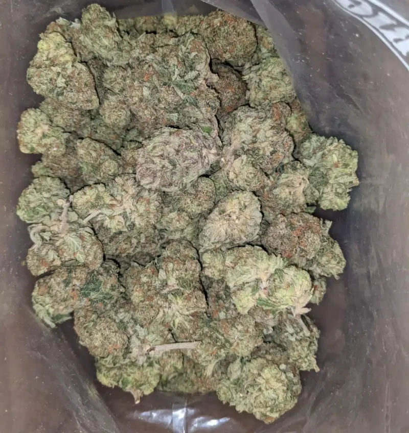 Pink Bubba - Image 4