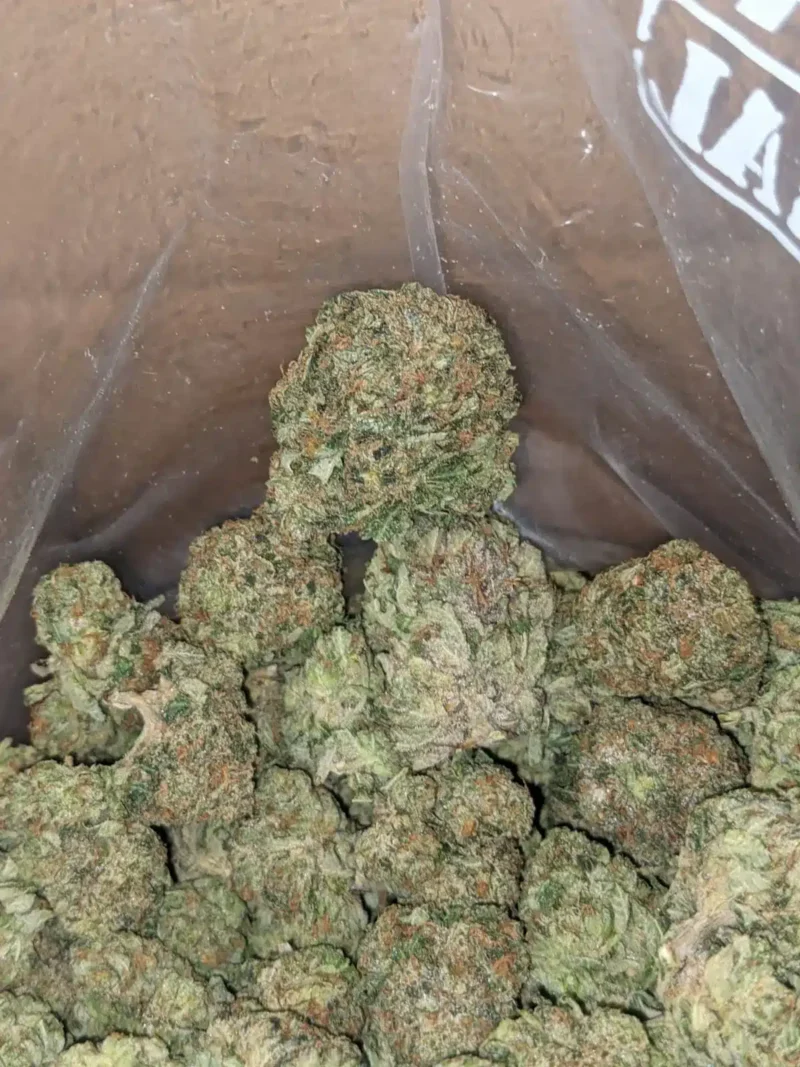 Pink Bubba - Image 7