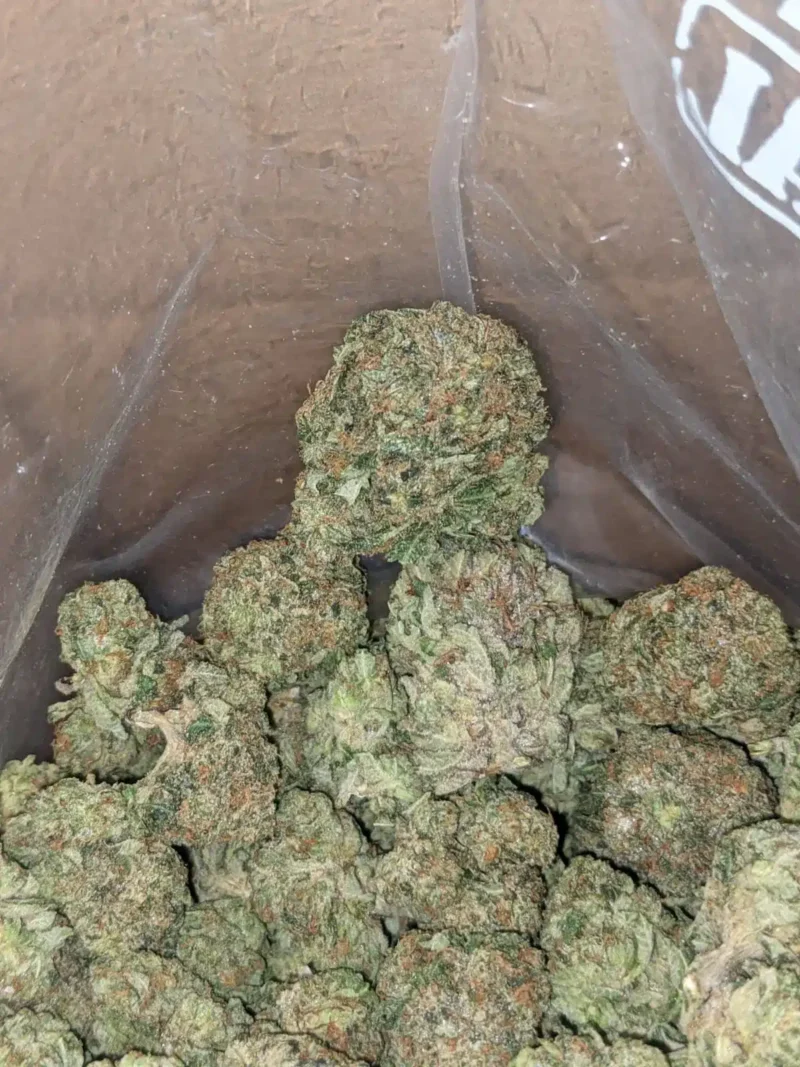 Pink Bubba - Image 6