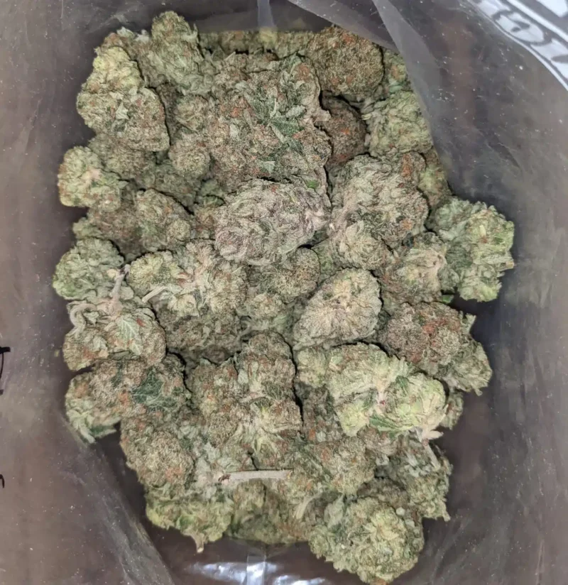 Pink Bubba - Image 5