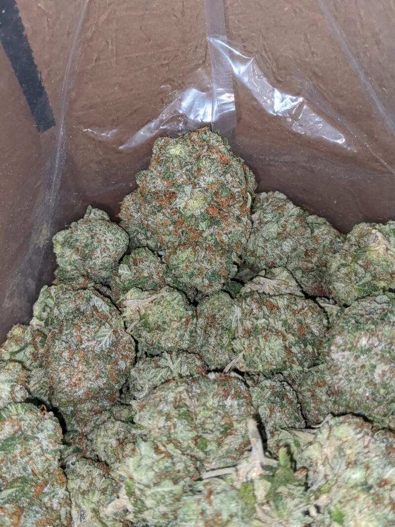 Pink Bubba Kush - Image 4